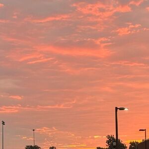 Meet your Posher, Elena